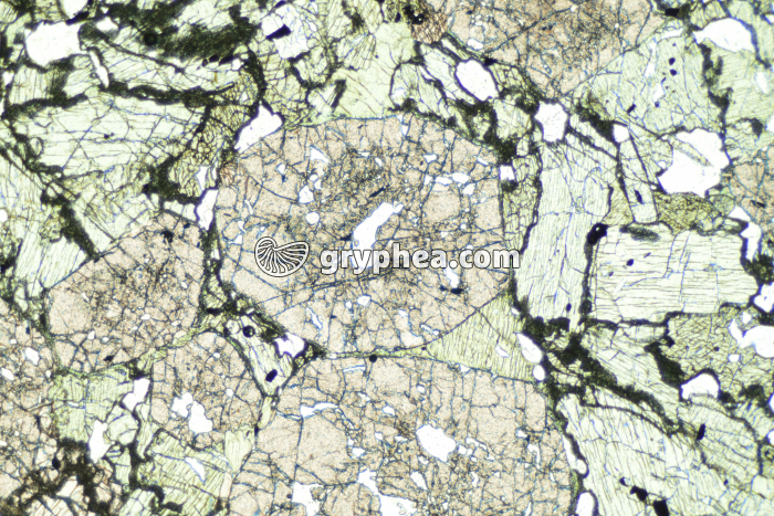 Eclogite LPNA x4 - gryphea.org